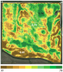 Lower variability in crop health - June 2013