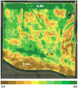 Higher variability in crop health - Sept 2013