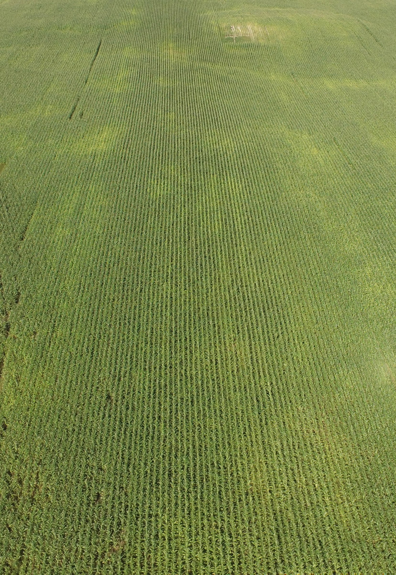 aerial field photograph