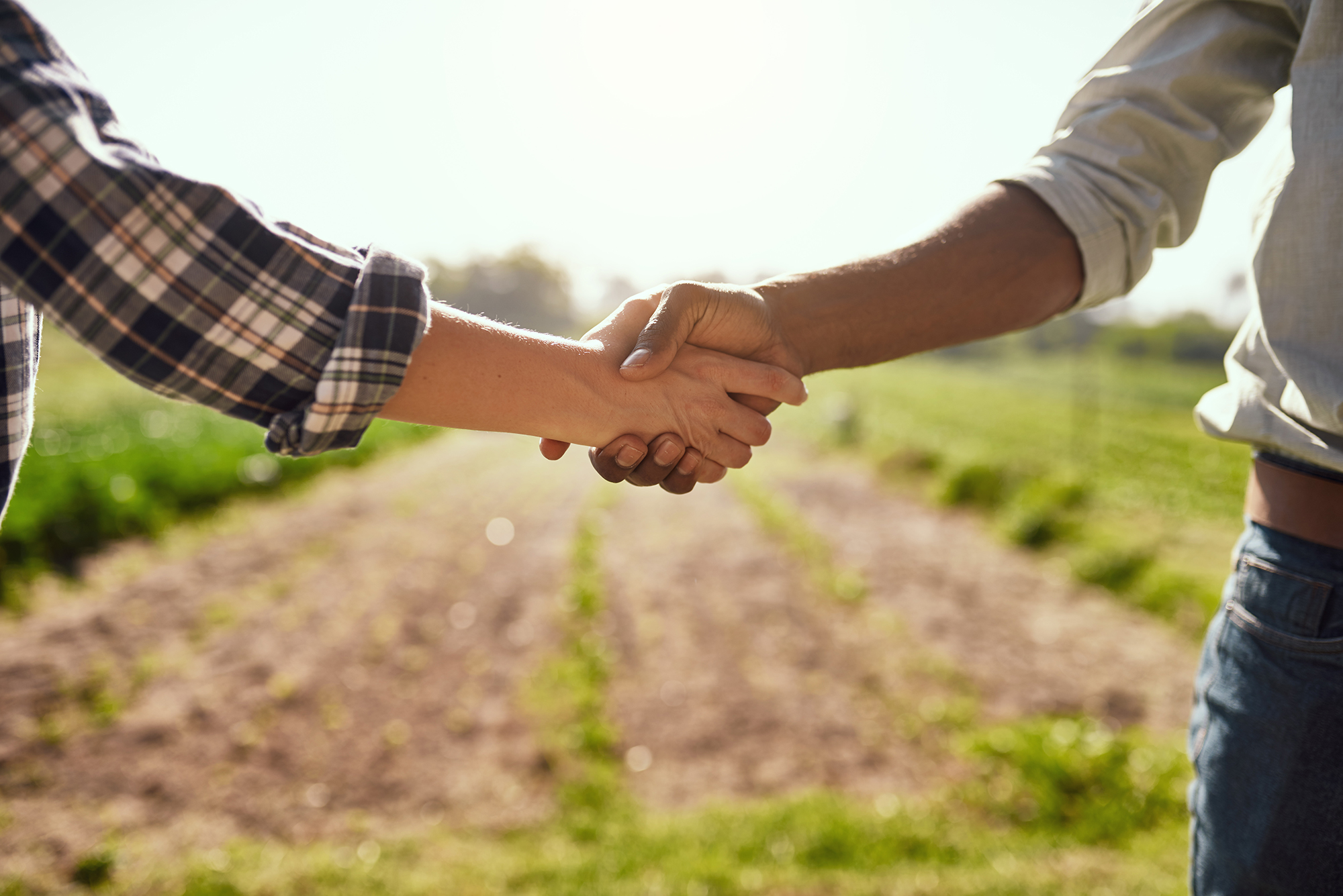 Two people shaking hands in a farmer’s field.