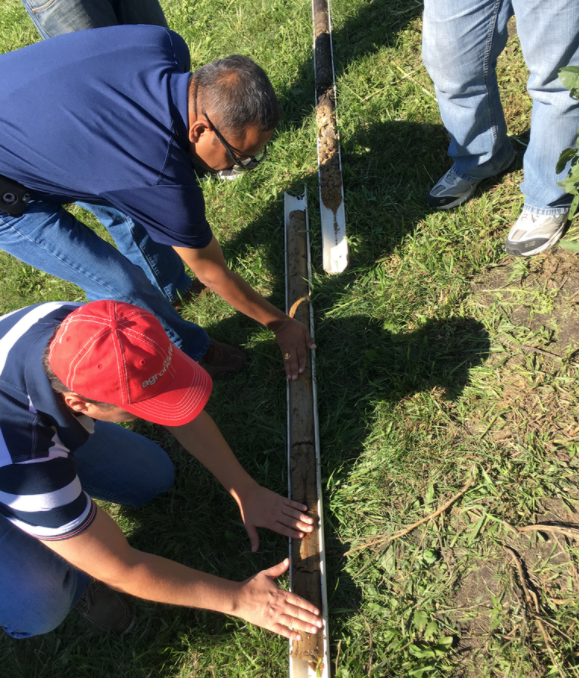Soil Core Examination