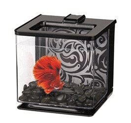 Marina Betta Kit 2.5L - Black,0.00
