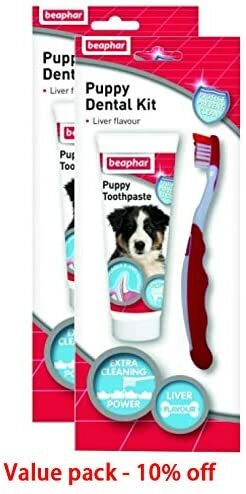 Pet Shop Dragon Mart Dog Dental Kit Puppy For Dental Health And Oral Hygiene Beaphar 50G Value Pack Of 2 Pcs,0.00