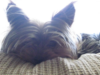 Abbi