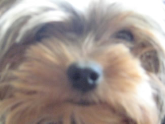 Abbi