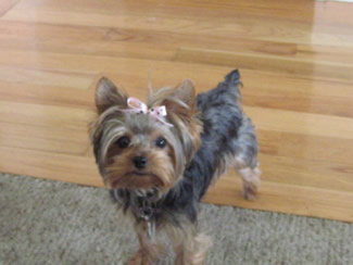 Abbi