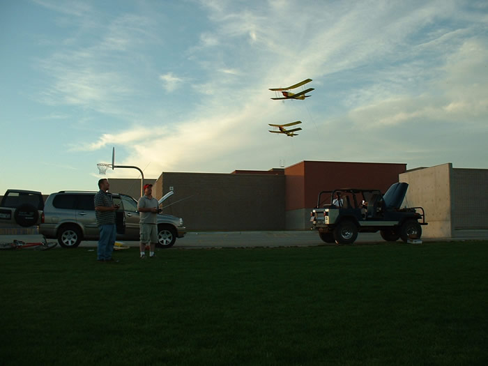 Tiger Moths