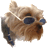 Yorkies