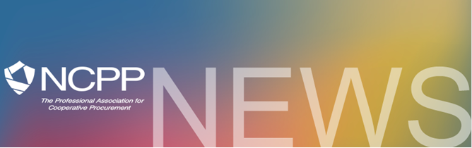 NCPP Webinar: Navigating the Maze of Local Government