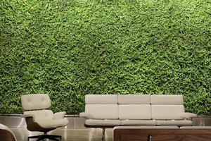 Preview of Technology Lab - Image 3: Chair, Furniture, Fence, Flora, Hedge, Plant, Couch.