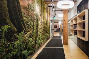 Preview of Undead Labs - Image 10: open floor plan, nature mural, exposed ceiling, wood columns, wood shelving, industrial lighting, carpet flooring, plywood, concrete wall, office, natural light, modern design, bookcase, corridor.