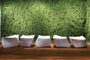 Preview of Zillow Executive Offices - Image 12: Chair, Furniture, green wall , art, wood floor.