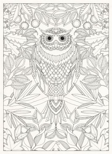 Secret Garden 20 Postcards