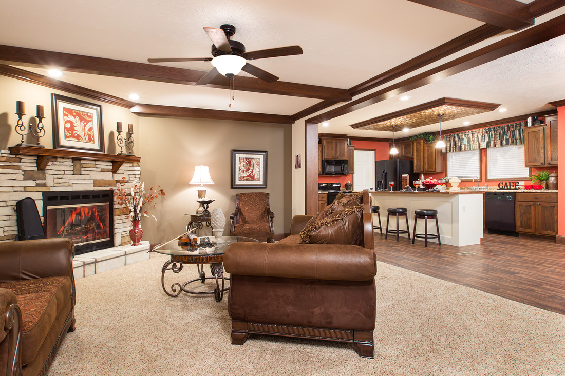 Fireplaces Fireplaces