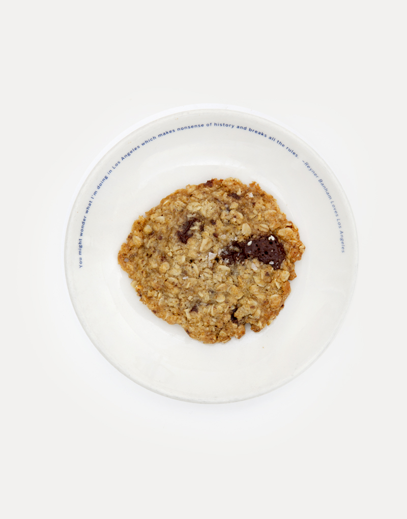 Vegan Oatmeal Chocolate Coconut Cookie