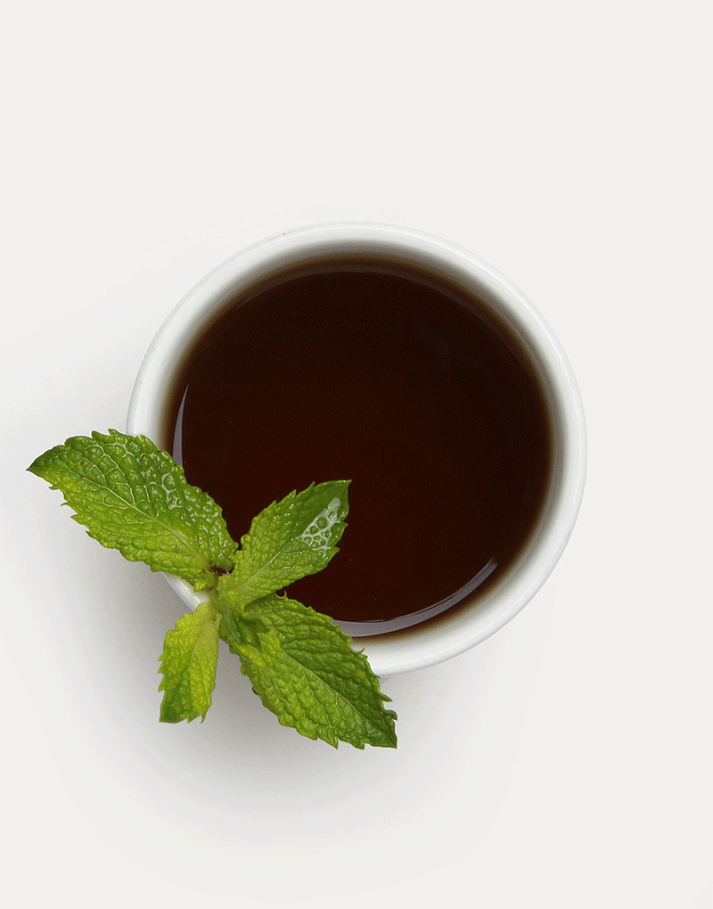 Fresh Mint