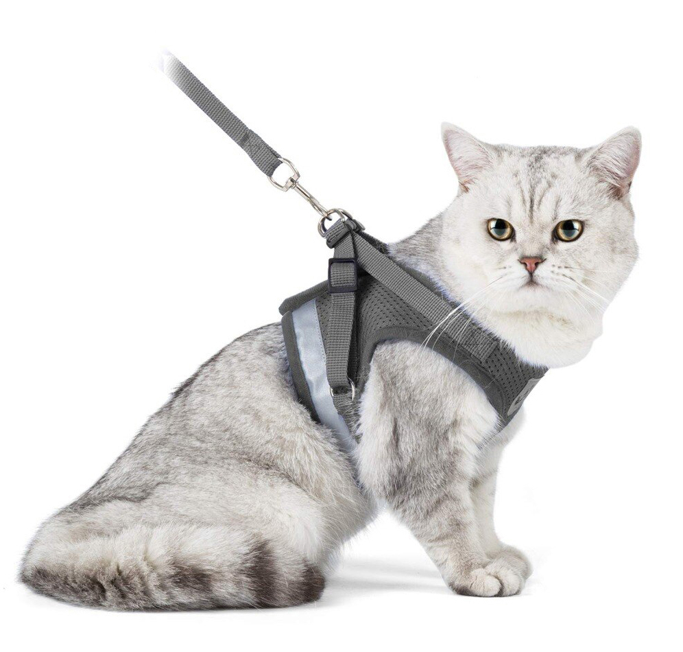 reflective cat harness