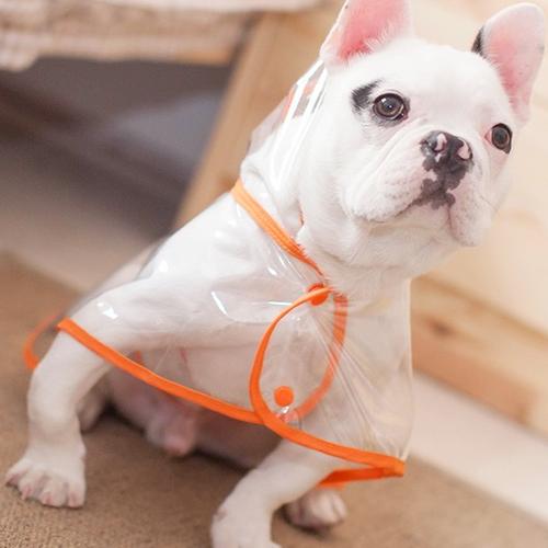 transparent dog raincoat