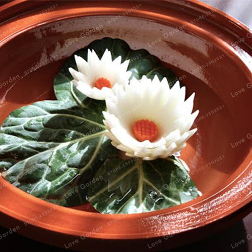 Premium Bonsai Bowl Lotus Seeds 5 Seeds Pack Hot