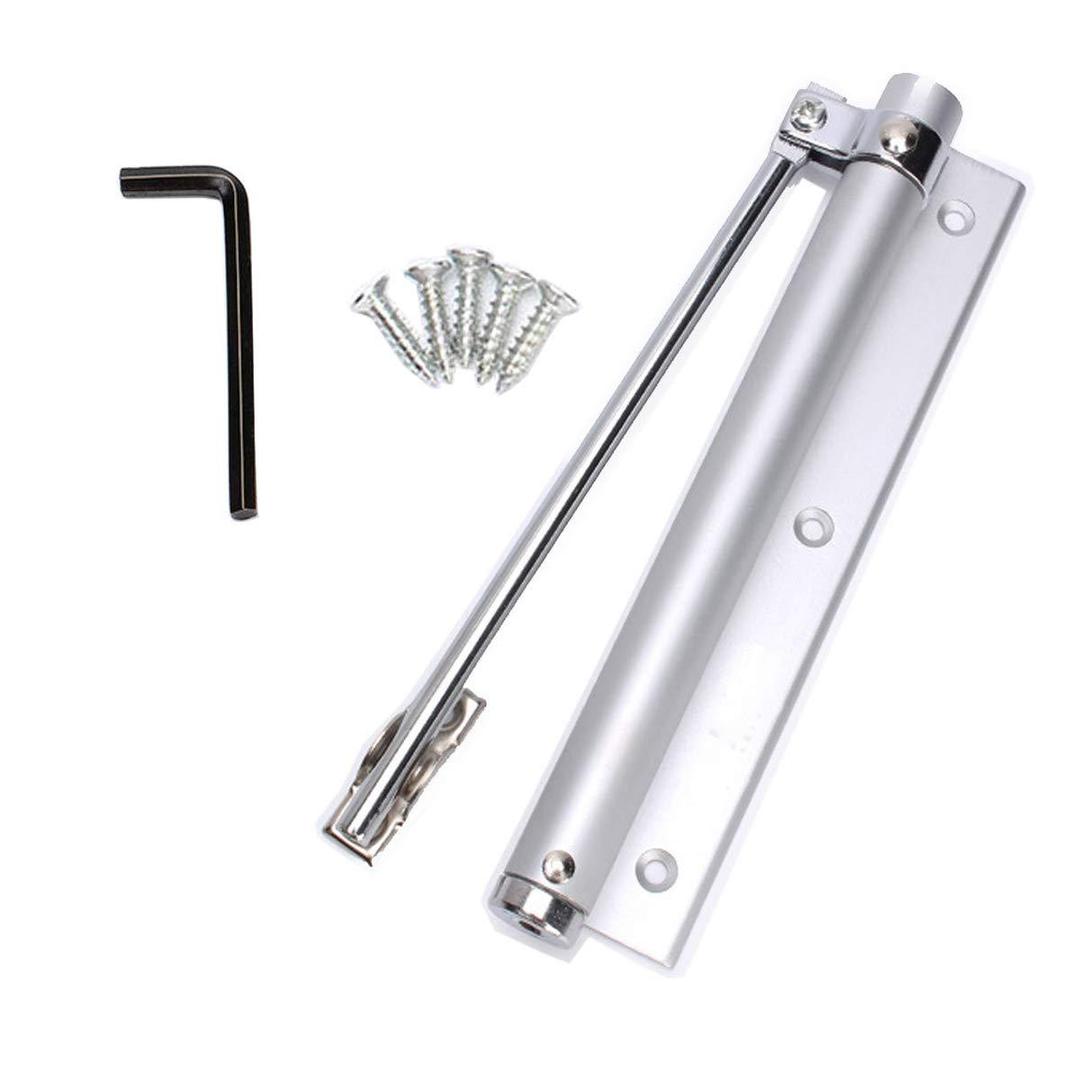 Automatic Door Self Closing Hinge