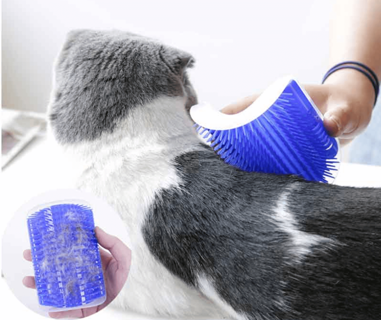 the original cat groomer