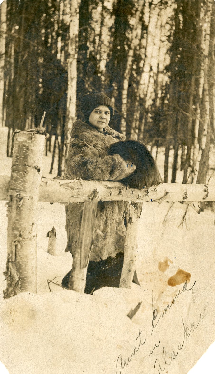 My Aunt in Alaska 