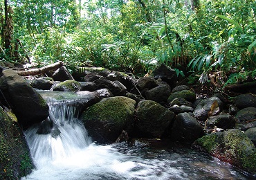 Product Downhill Bike &amp; Ko'olau Waterfall Hike