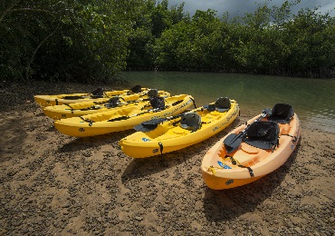 Product Kayak Rentals