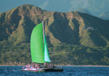 Product Tradewind Sail