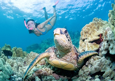 Product Private Snorkeling