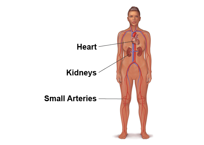 Overview of Blood Pressure Health Journal