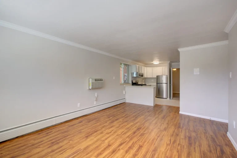 1536 Vine