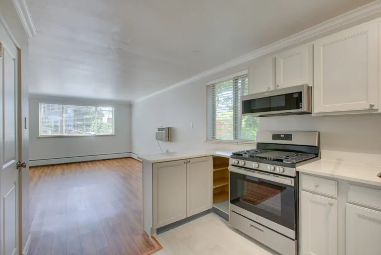 1536 Vine