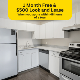 Photo Gallery for Unit A304