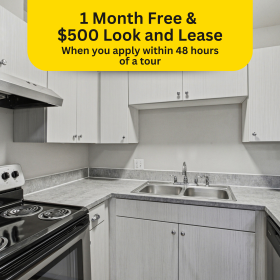 Photo Gallery for Unit A308