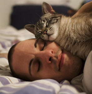 Man asleep with a cat on his face