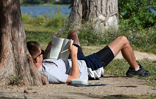 Foto eines Mannes, der auf dem Boden liegt, gegen einen Baum, ein Buch und einen Bleistift in der Hand