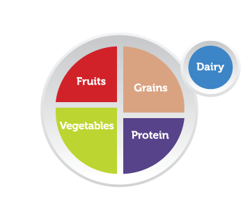 https://s3-us-west-2.amazonaws.com/courses-images-archive-read-only/wp-content/uploads/sites/1110/2016/04/27185018/MyPlate.png