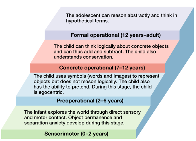 Cognitive development includes hotsell