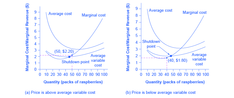 Reading The Shutdown Point Microeconomics