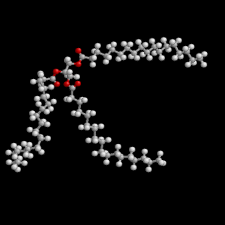 The Surprising Properties Of Triglycerides Beyond Just Fat - dgk8n8v