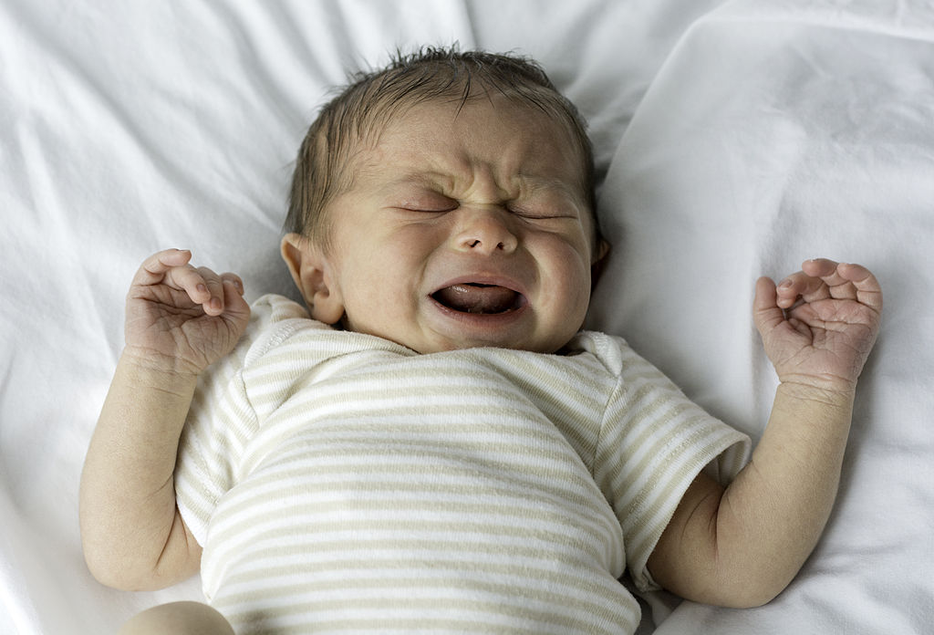 Psychosocial development and attachment lifespan development