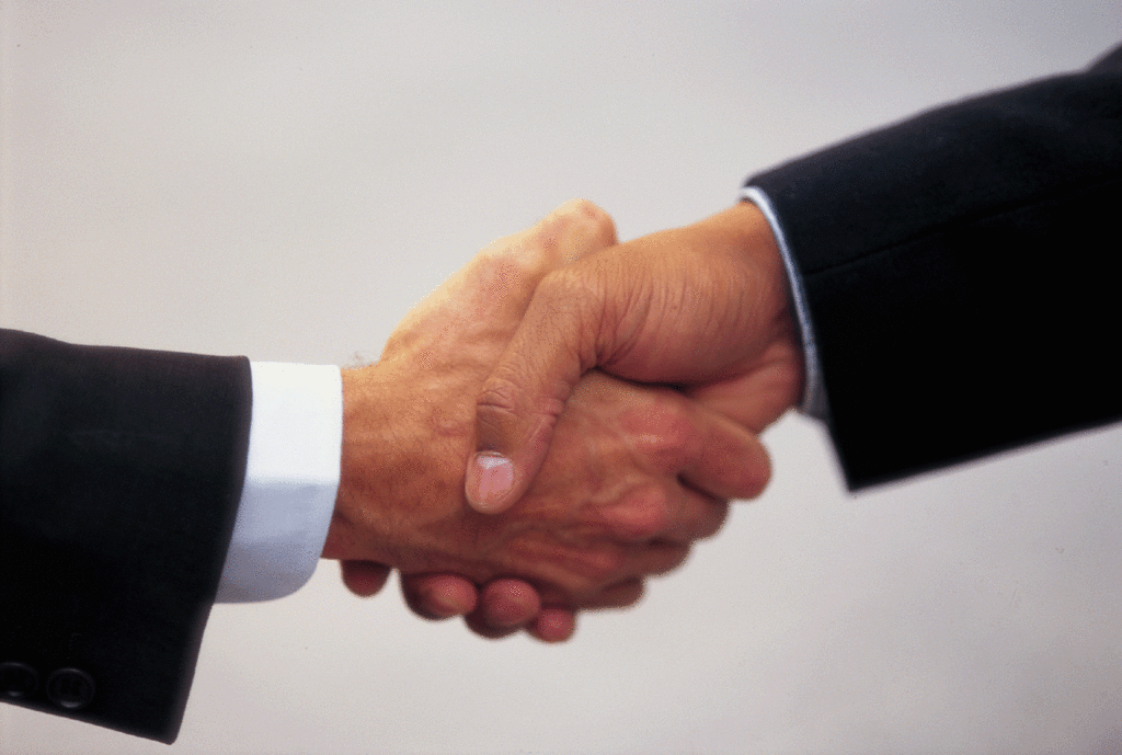 Two hands clasped in a handshake