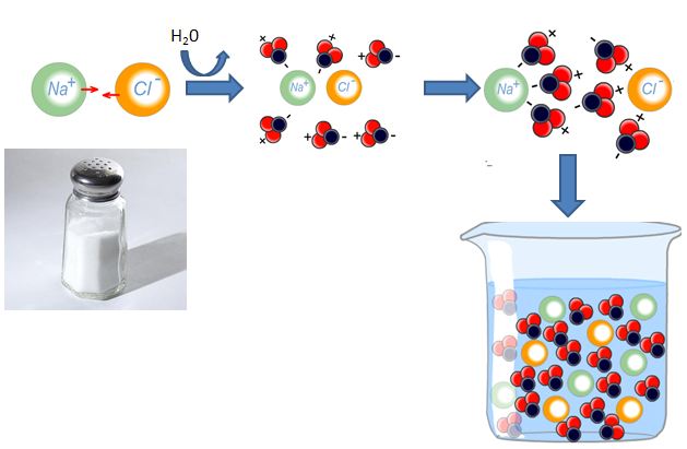 >NaCl (salt) dissociates in water to form Na+ and Cl- ions