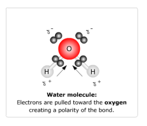 Screen Shot 2014-11-20 at 2.45.25 PM