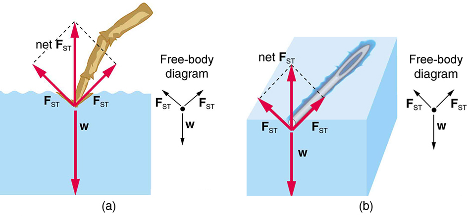 water cohesion diagram