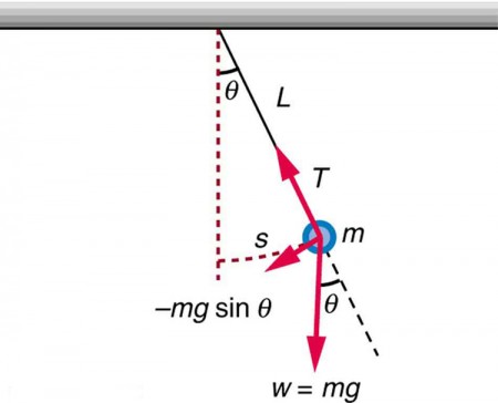 Solved Problem \#1 (40 points) - The True Hanging String