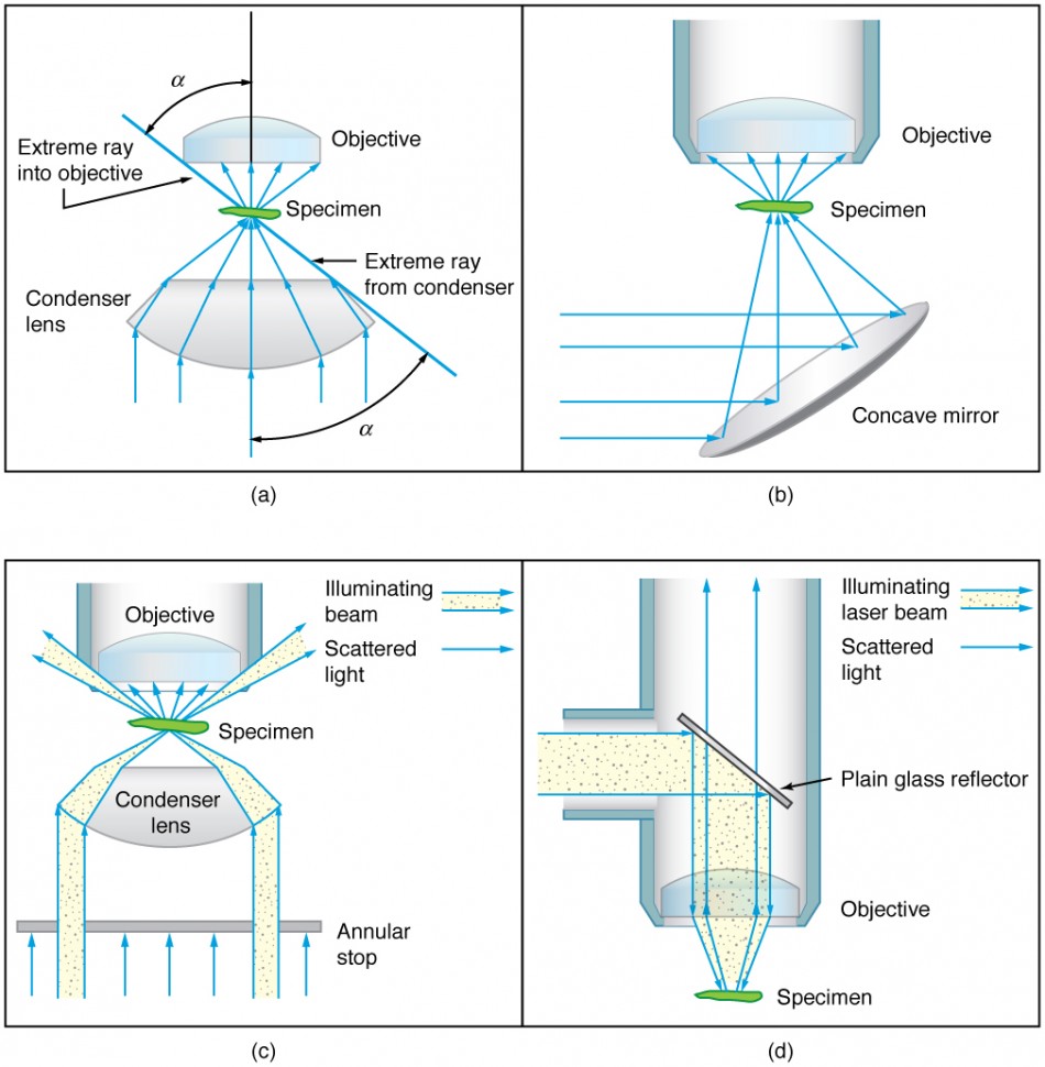 Microscope Lens Diagram