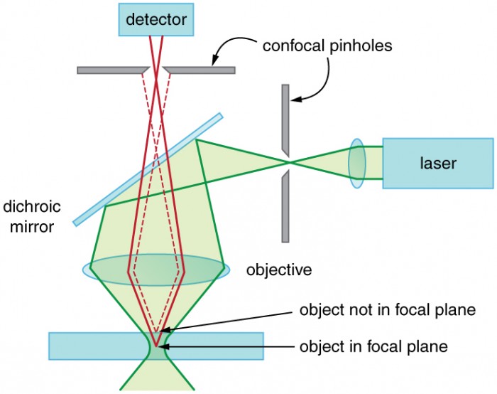 Extended Topic Microscopy Enhanced By The Wave Characteristics Of   Figure 28 09 04a 