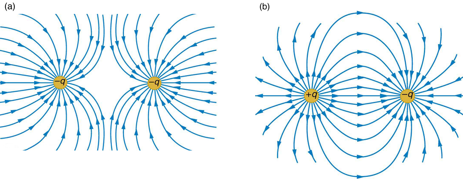 Figure 19 05 06a jpg